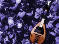 /album/photo-gallery-ljubov-i-romantika/love-and-romance-wallpapers-048-jpg/